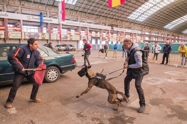 Demostración de la Unidad Canina de la Policía Local