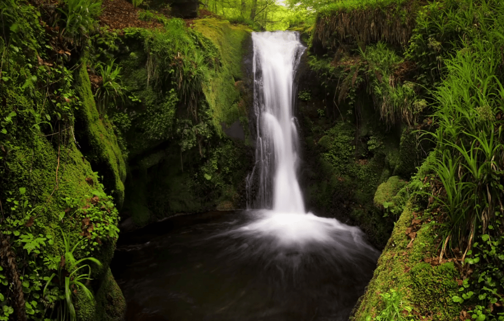 Fuentes de Palombera (Cantabria)