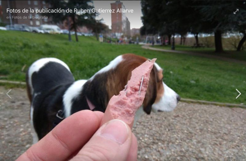 Salchichas con alfileres y veneno 