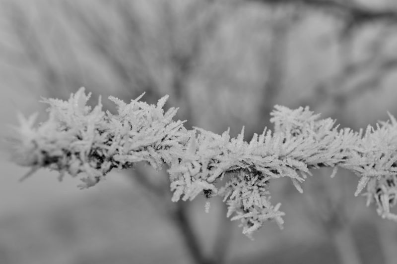 Liébana, el centro y el valle de Villaverde estarán en aviso naranja por nieve el sábado