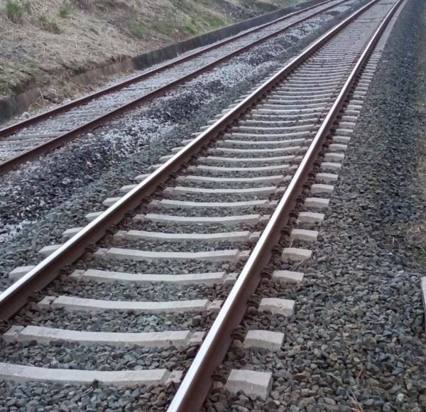 El-Gobierno-autoriza-las-obras-de-duplicacion-de-via-del.jpg