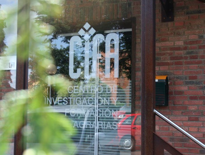 El-Gobierno-convoca-dos-becas-de-formacion-en-investigacion-y.jpeg