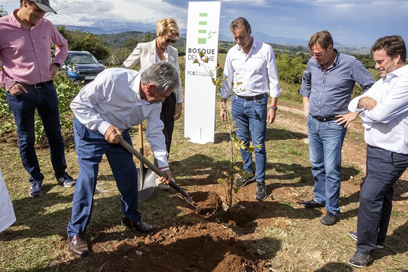 Cantabria-pone-en-marcha-el-primer-‘Bosque-del-Cine-para.jpeg