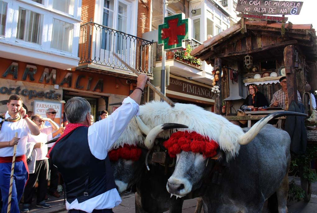 Carreta-ganadora-19.jpg El Dia de Campoo, protagonista del último fin de semana de las fiestas mateas