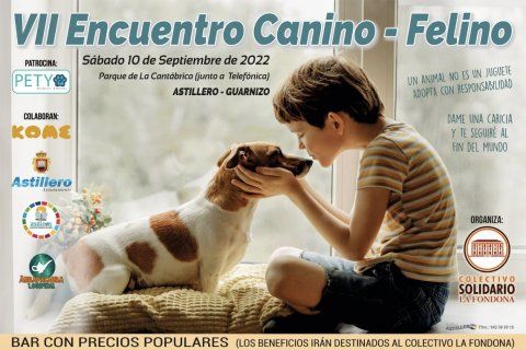 LOS-PERROS-Y-LOS-GATOS-VOLVERAN-A-SER-PROTAGONISTAS-EN.jpeg