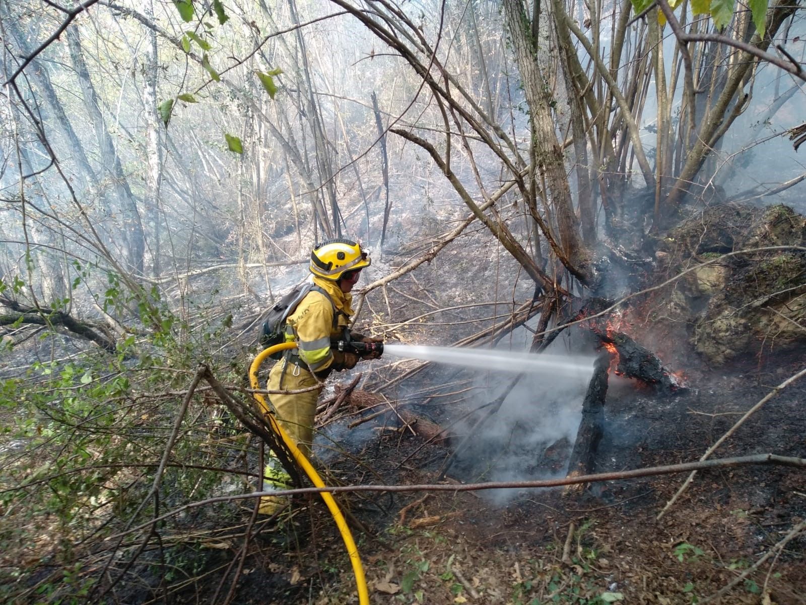 Cantabria-registra-27-incendios-forestales-provocados-en-las-ultimas-24.jpeg