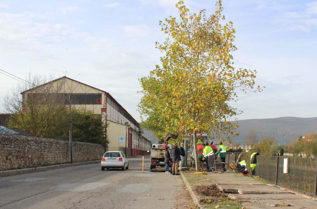Acera-Alejandro-Calonge.jpg El Ayuntamiento renueva las aceras del Paseo de Alejandro Calonge y la calle Polvorín
