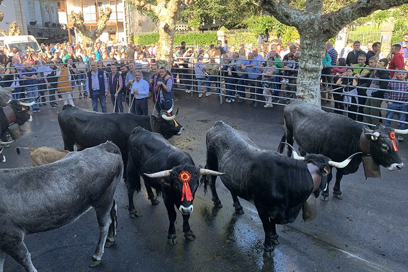 Revilla-y-Blanco-asisten-a-la-tradicional-feria-de-Arredondo.jpeg