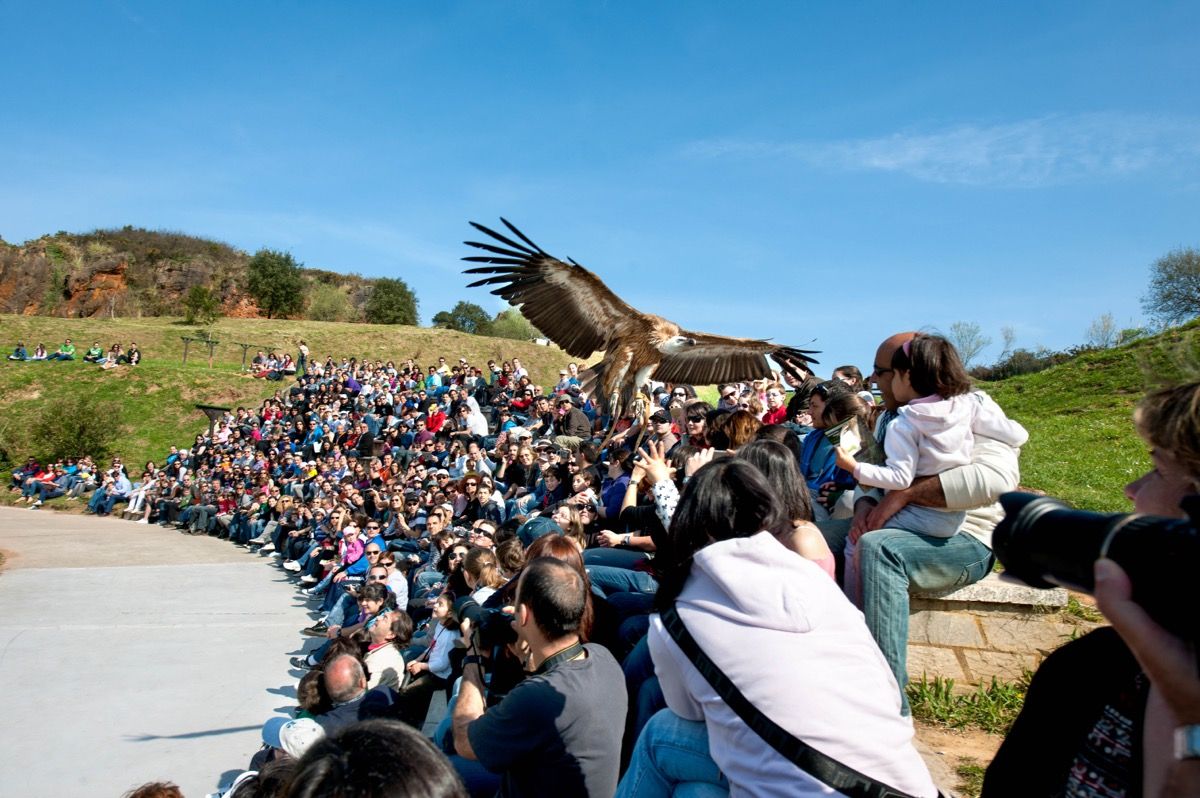 Las-instalaciones-de-CANTUR-cierran-2022-con-1041161-visitantes-la.jpeg