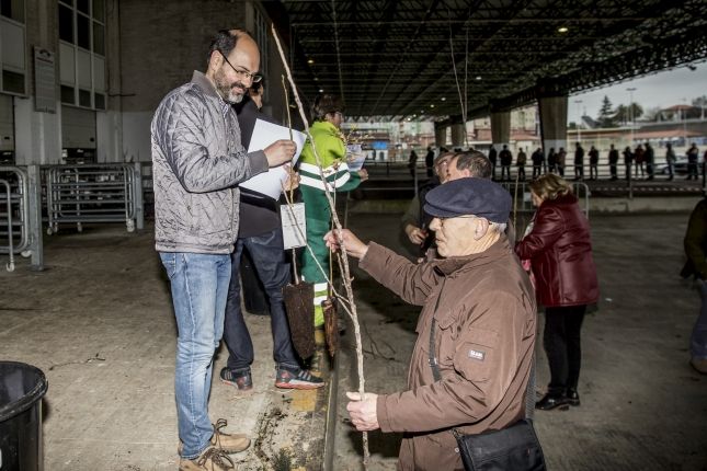 Torrelavega-repartira-3576-arboles-entre-los-participantes-de-la-campana.jpg