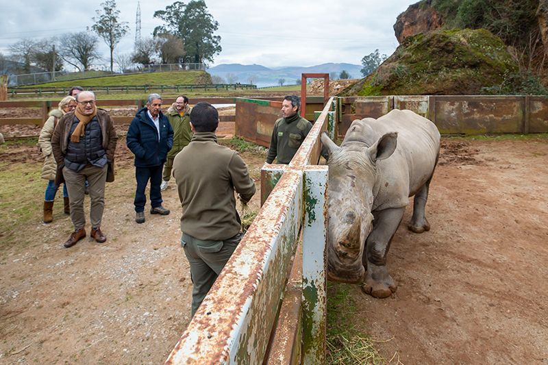 El-Parque-de-la-Naturaleza-de-Cabarceno-incorpora-una-nueva.jpeg
