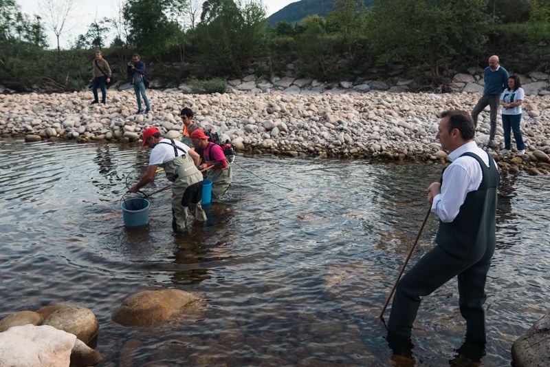 Blanco-asiste-al-rescate-y-traslado-de-peces-del-Rio.jpeg