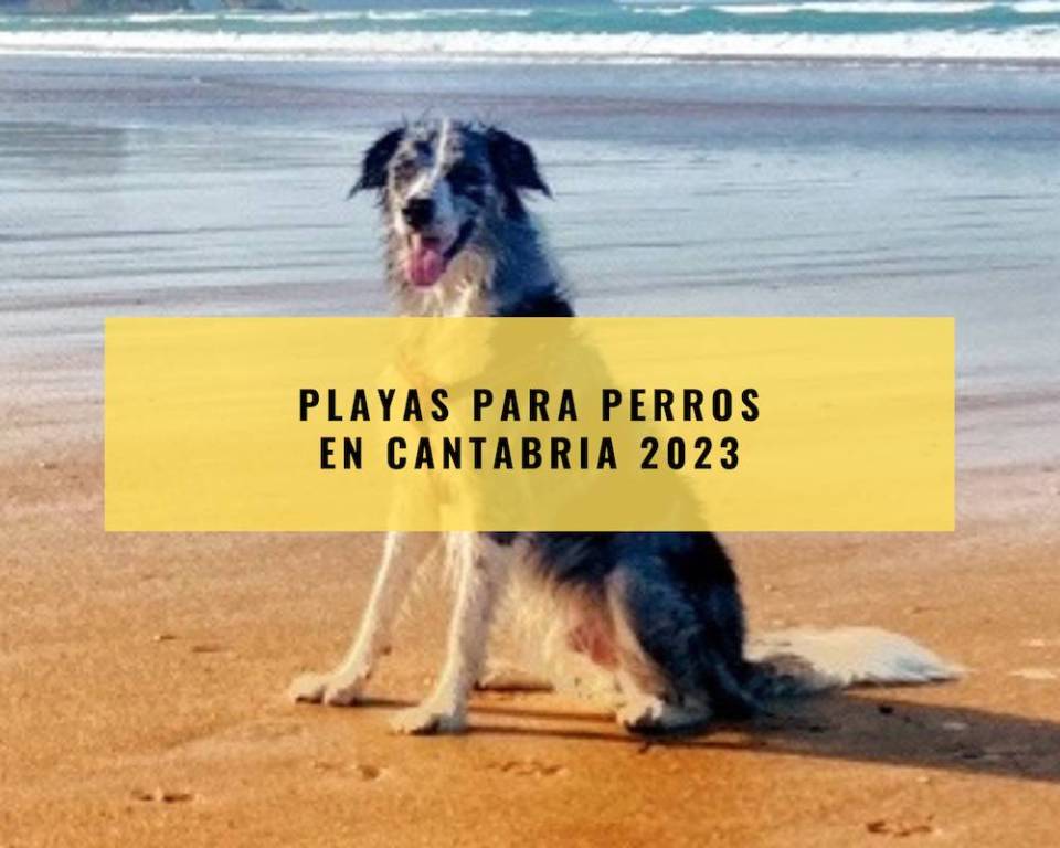 Playas para Perros en Cantabria 2023