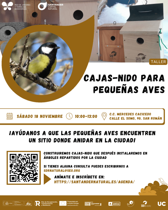 noticias/imagen-asociada/2023/10/23_11_cajas-nido.png