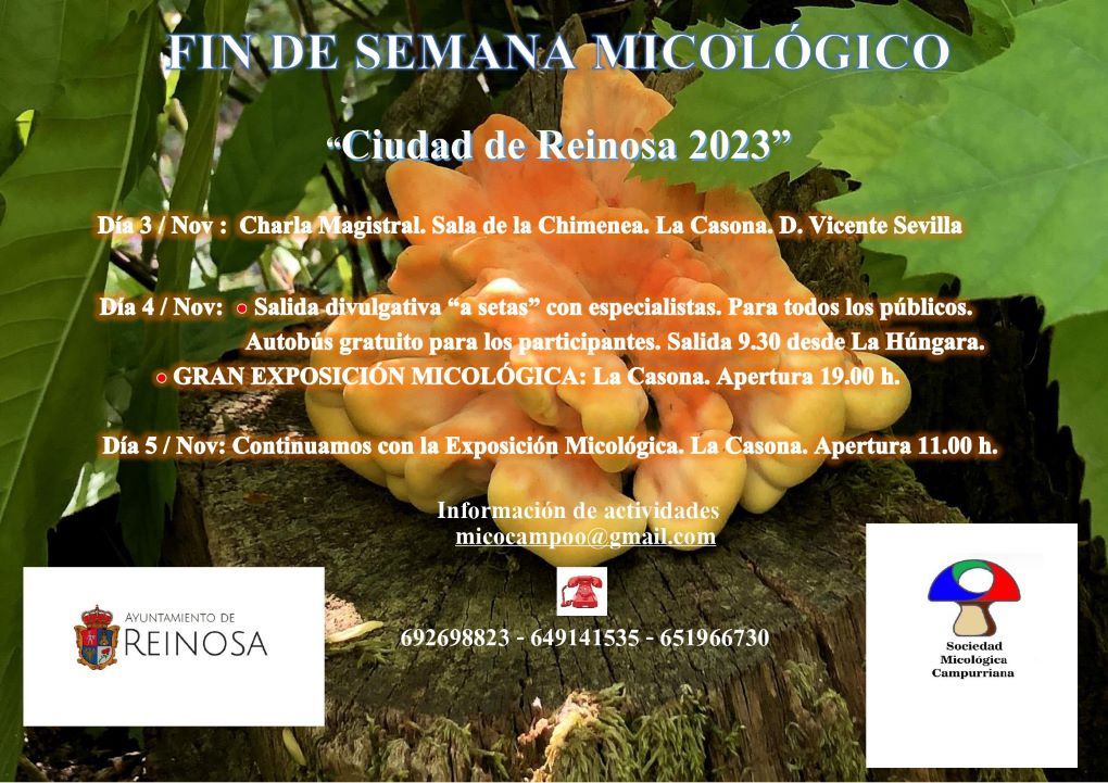 La micología, protagonista del primer fin de semana del mes de noviembre