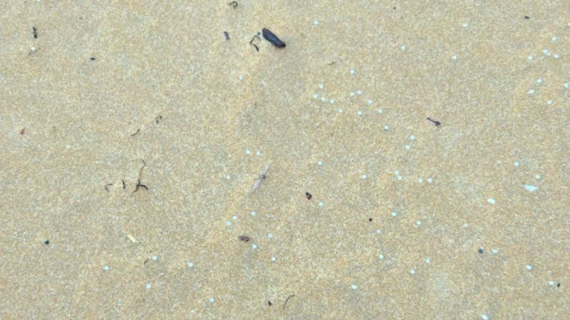 El Gobierno desactiva el PLATERCANT vigente por contaminación marítima