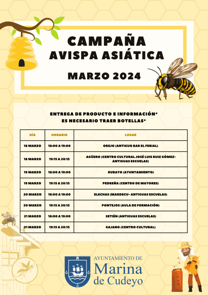 Campaña: avispa asiática | Ayuntamiento de Marina de Cudeyo