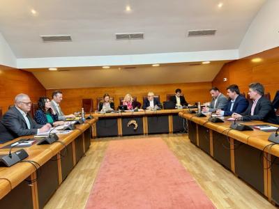Reunion-de-la-Comision-no-permanente-de-Despoblamiento.jpg