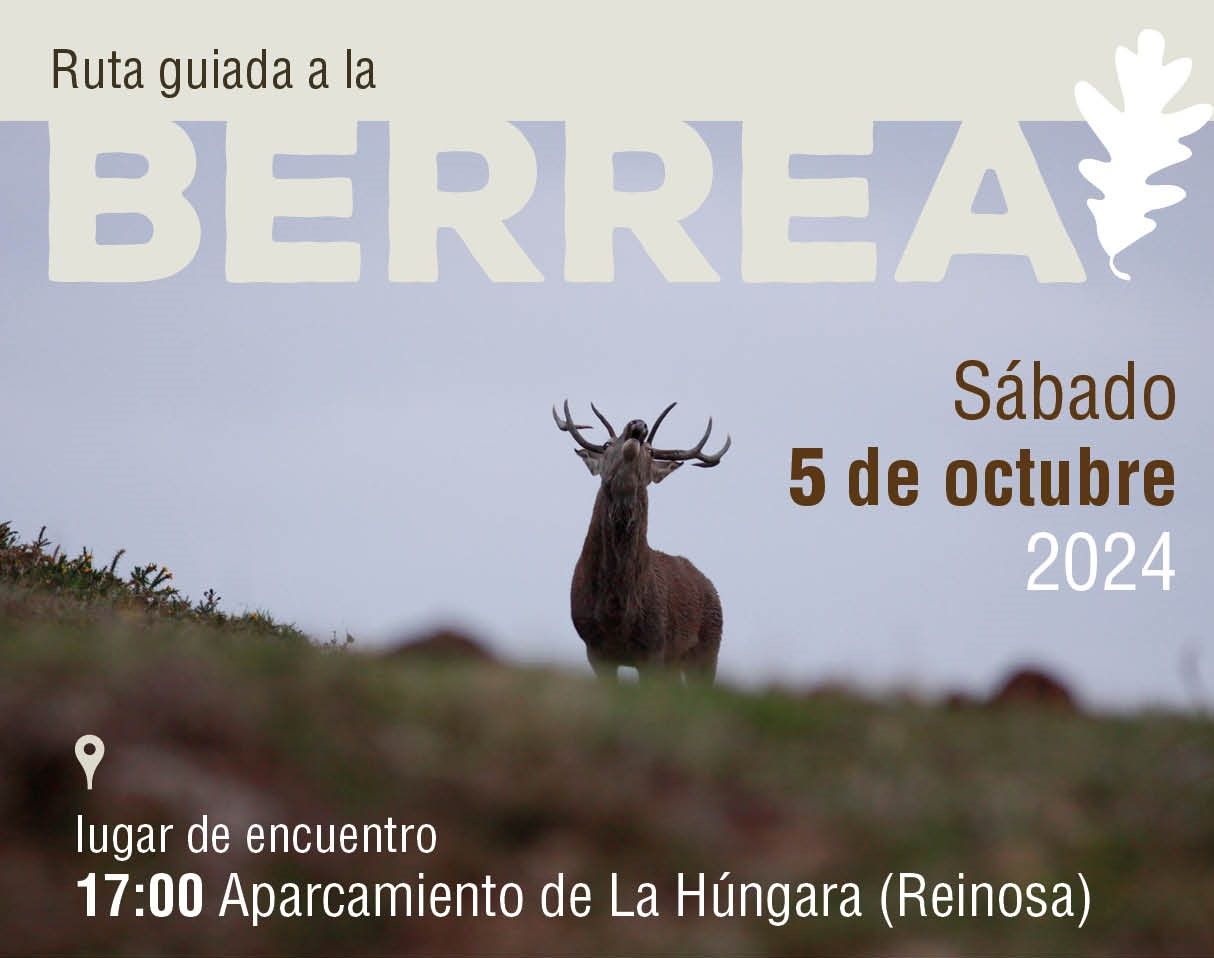 Aún quedan plazas libres para participar en la ruta guiada a la berrea