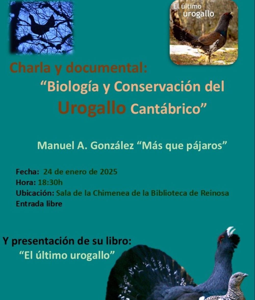 conferencia-urogallo-25.jpg El urogallo, protagonista de una charla que acogerá La Casona