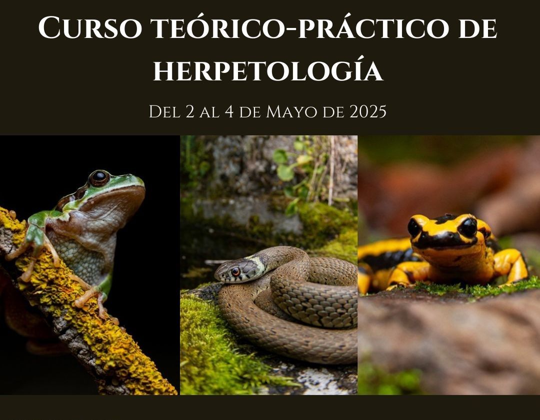 Nuevo Curso teórico-práctico de Herpetología