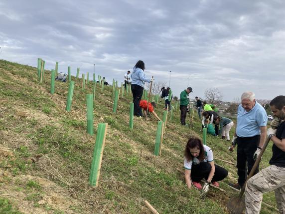 noticias/imagen-asociada/2025/02/plantacion_voluntarios_el_alisal.jpg