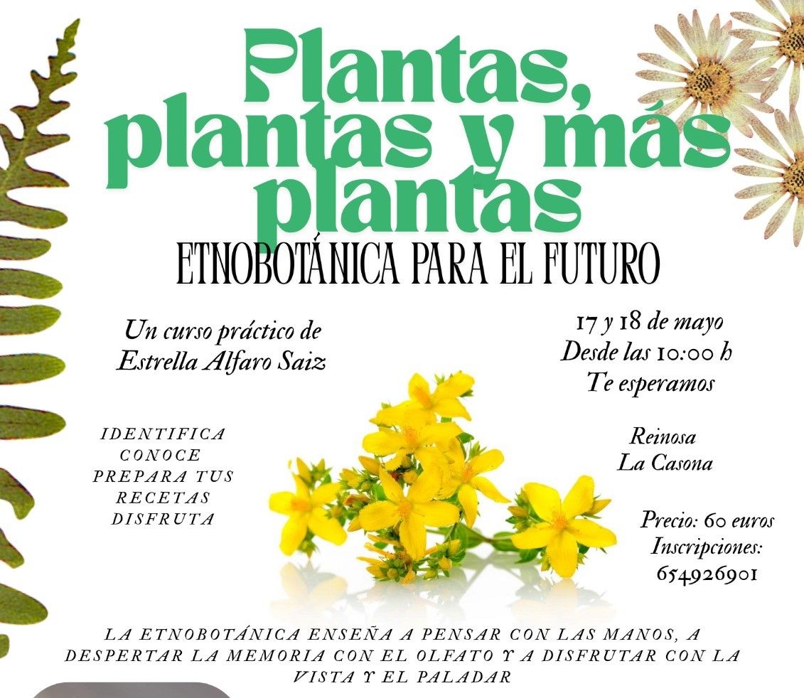 Curso sobre etnobotánica y sus aplicaciones en la cocina o la cosmética natural