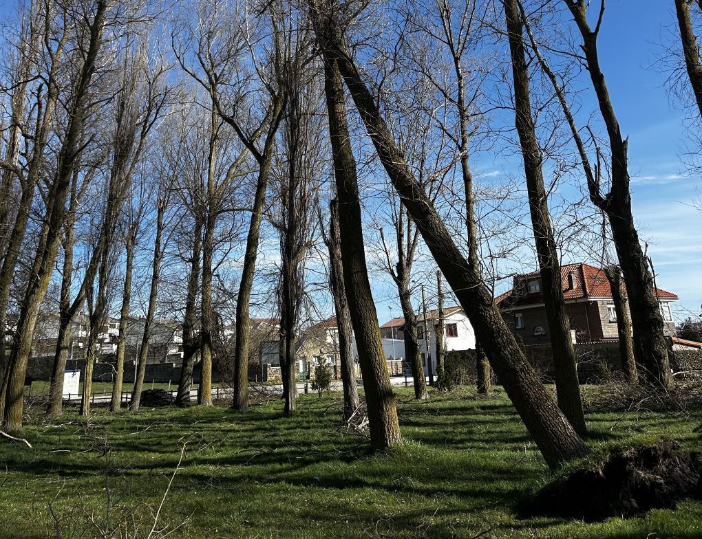 El Ayuntamiento inicia la próxima semana la actuación de mejora ambiental del Pozo Pozmeo