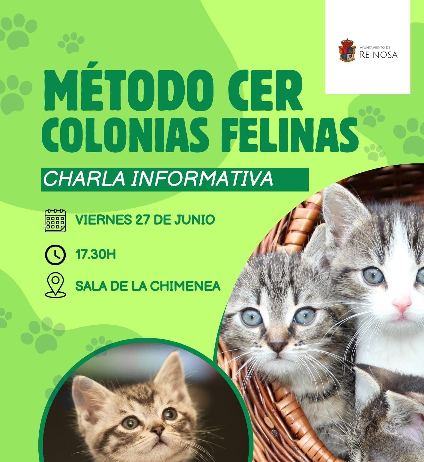 El Ayuntamiento organiza una charla sobre el método CER en colonias felinas urbanas