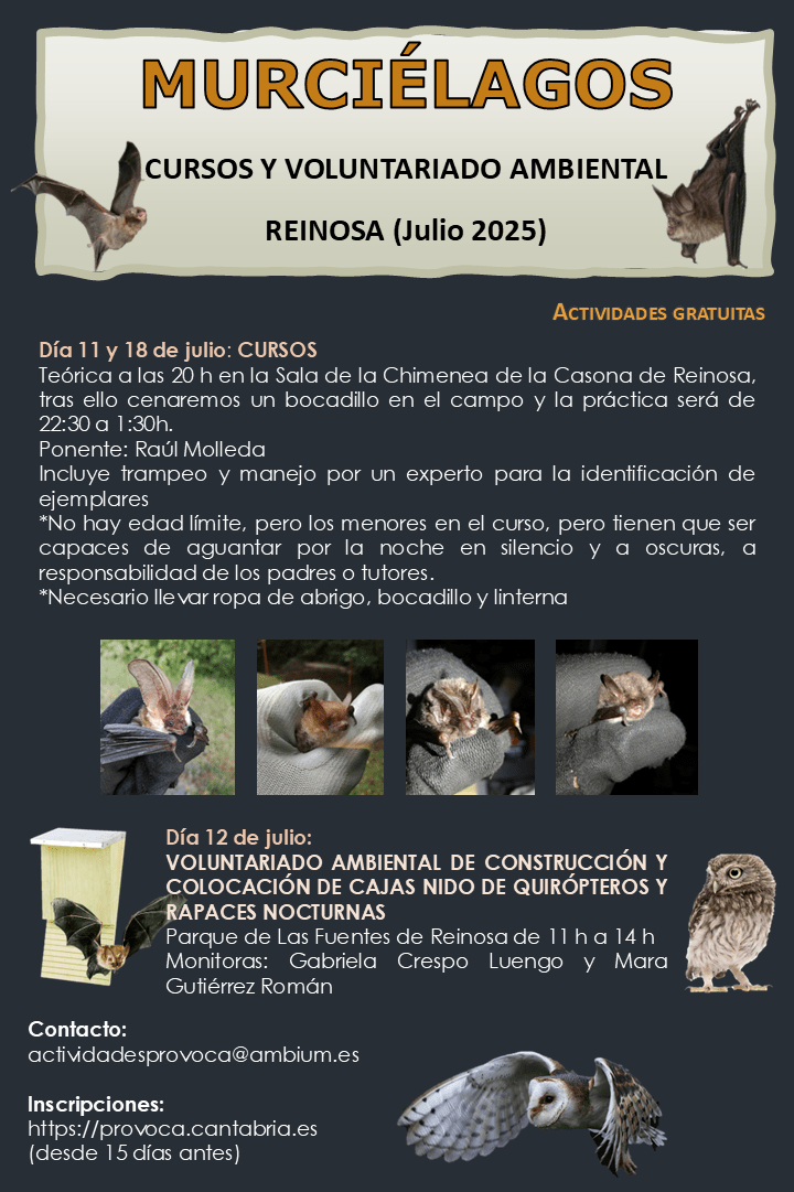 Murcielagos-julio-2025.png El Programa de Naturaleza de la Concejalia de Medio Ambiente oferta un curso sobre murciélagos