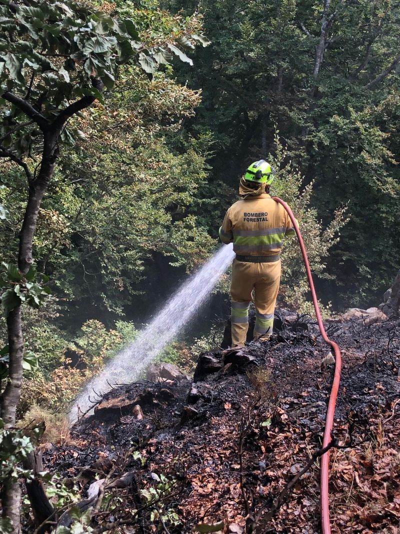 El Gobierno baja a preemergencia el PLATERCANT al estar extinguidos los focos en los que ha intervenido en León