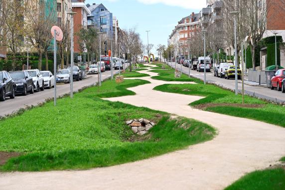 noticias/imagen-asociada/2025/11/visita_proyecto_naturalizacion_doctor_diego_madrazo_2.jpg