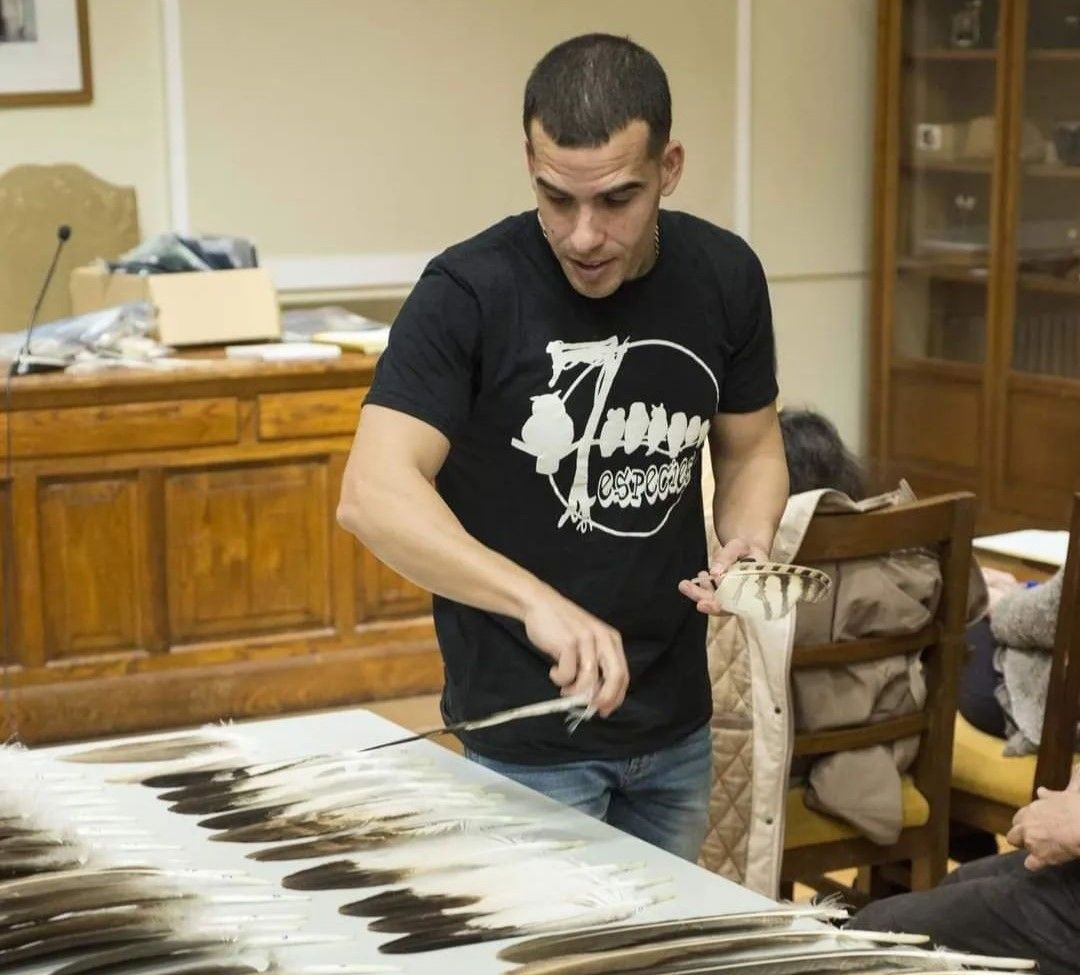 Abierto el plazo de inscripción en el Curso de Identificación de Plumas de Rapaces
