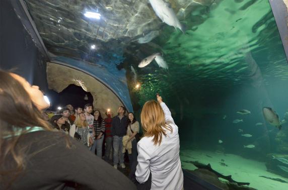noticias/imagen-asociada/2025/12/noche_museos_lnej_2.jpg