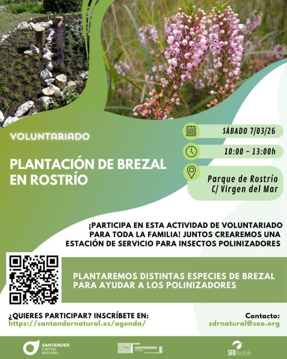 noticias/imagen-asociada/2026/02/nueva_actividad_voluntariado_ambiental.jpg