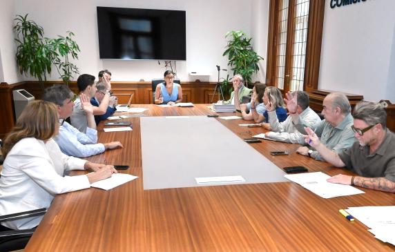 noticias/imagen-asociada/2026/08/comision_especial_de_cuentas_26_1.jpg